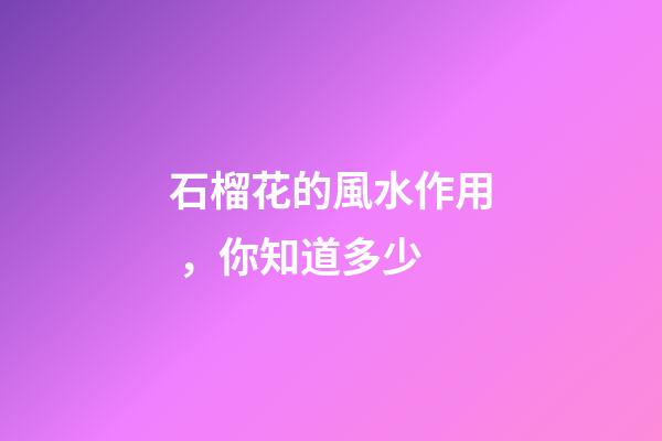 石榴花的風水作用，你知道多少